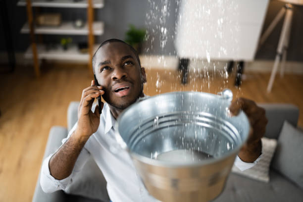 Best 24/7 water damage repair  in New Port Richey East, FL