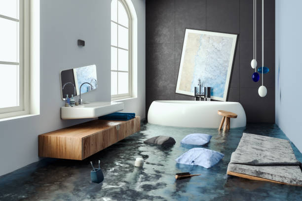 Best Mold removal after water damage  in New Port Richey East, FL