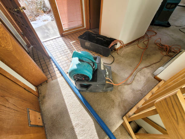 Best Flood damage cleanup  in New Port Richey East, FL