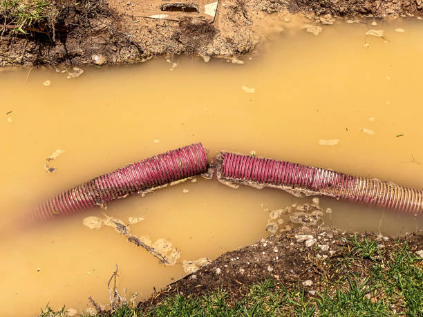 Best 24/7 water damage repair  in New Port Richey East, FL