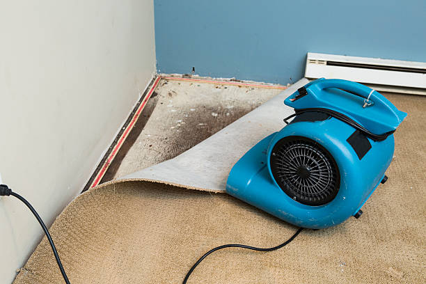 Best Commercial water damage restoration  in New Port Richey East, FL