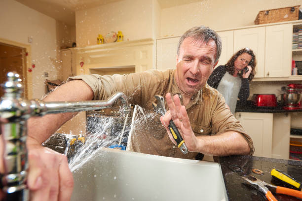 Best Basement water damage restoration  in New Port Richey East, FL